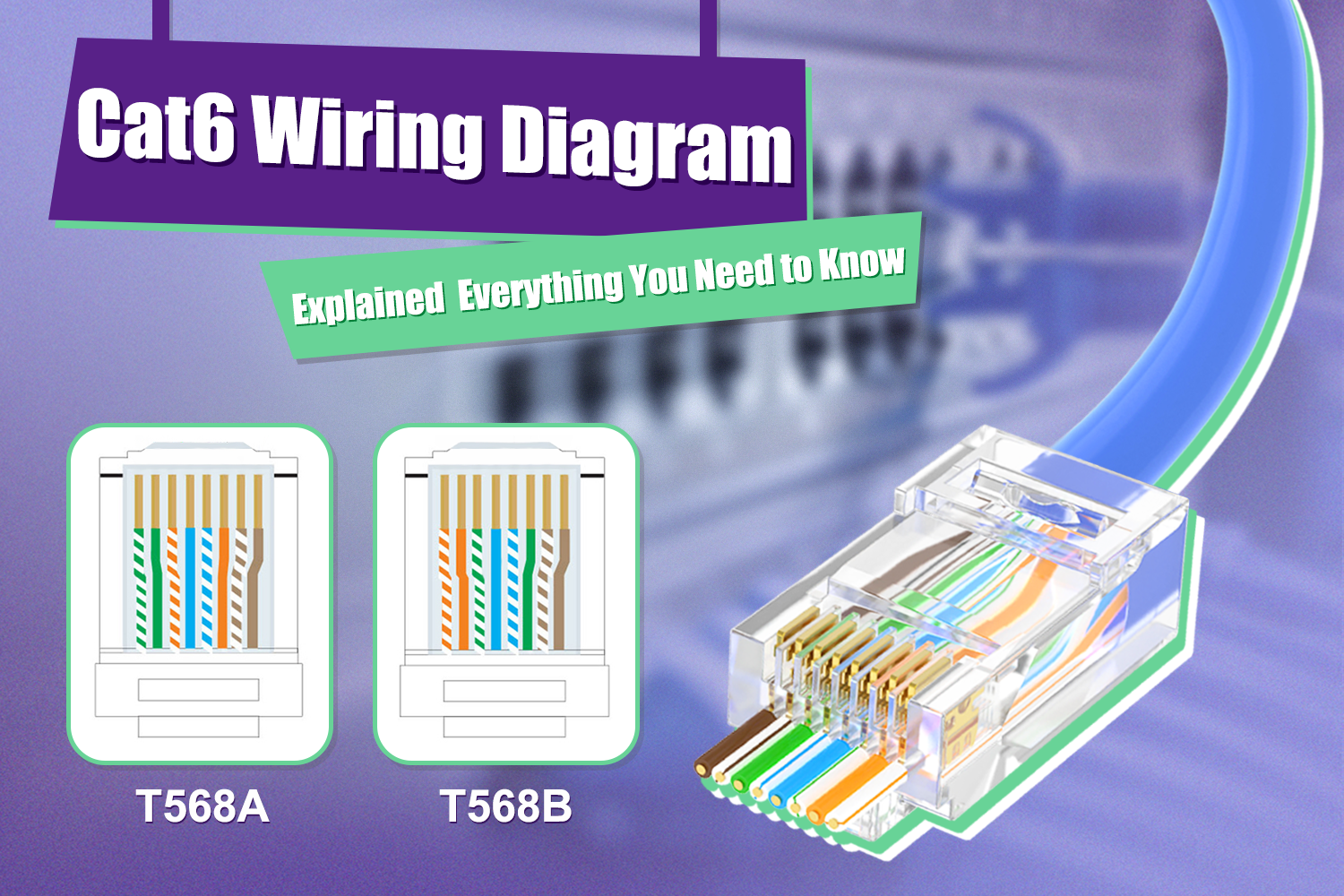 Cat5 Vs Cat6 Wiring Diagram - Vrogue.co