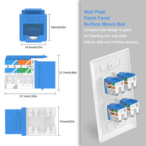 cat6 keystone wall plate
