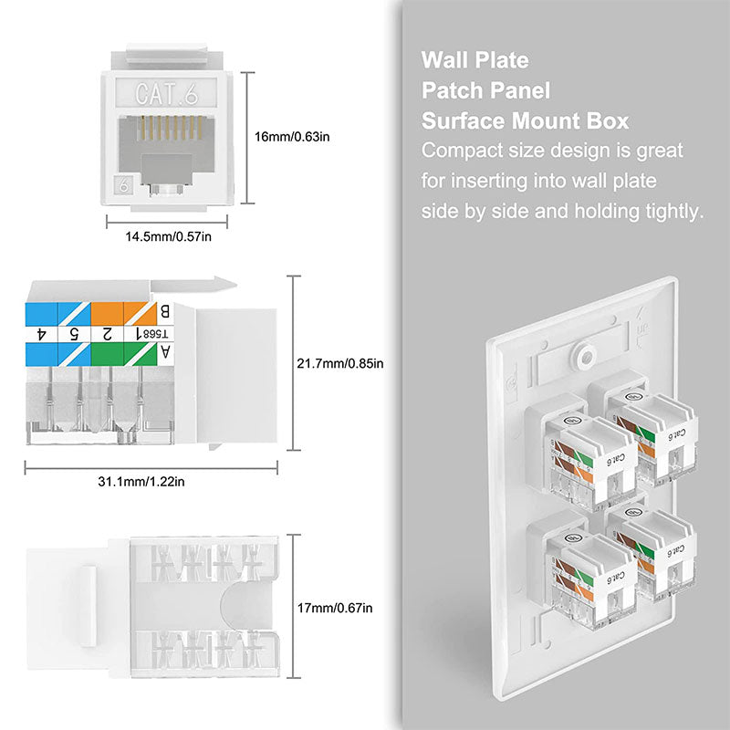 cat 6 wall jack