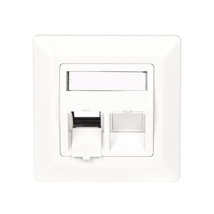 network wall plate