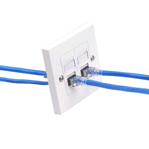 network wall plate
