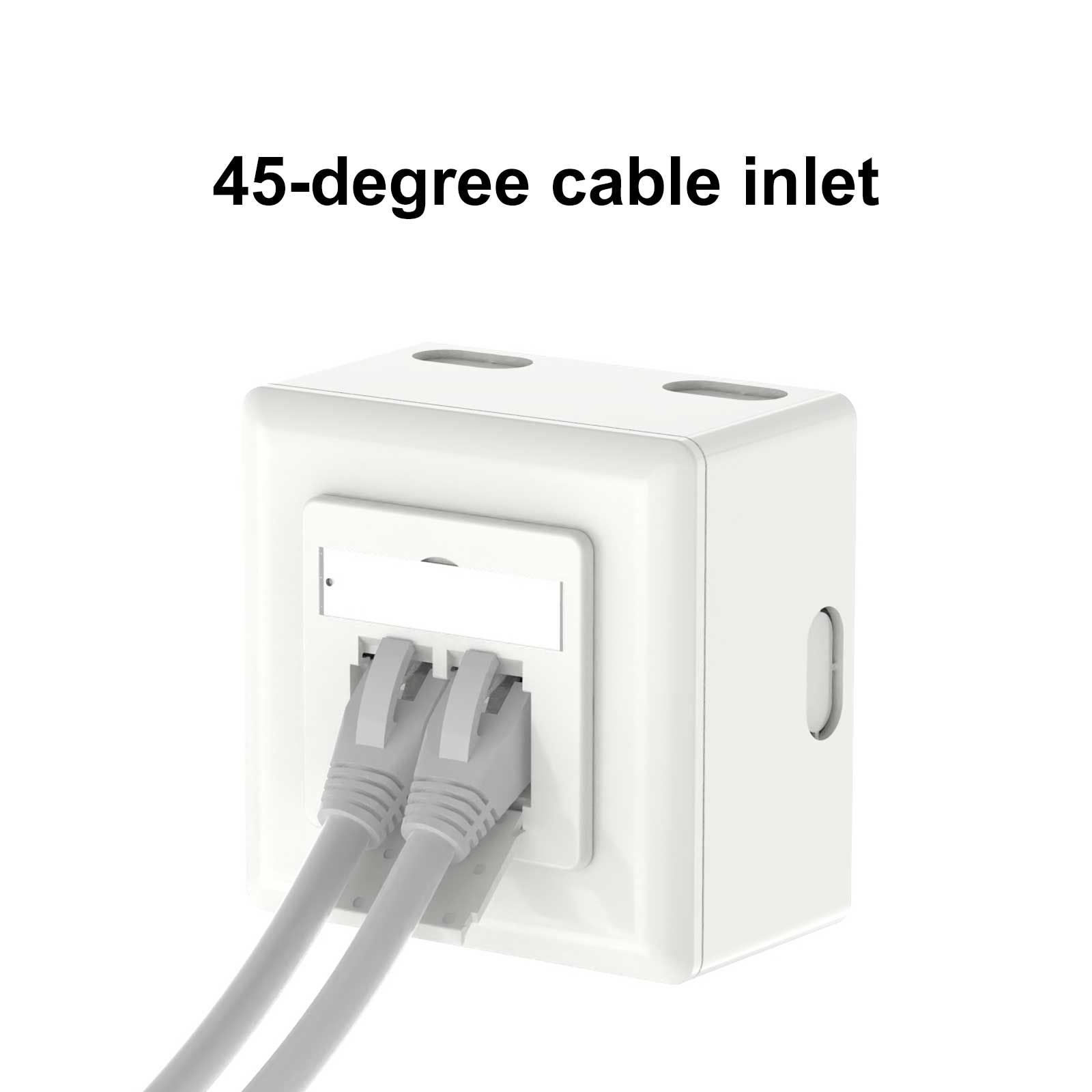 faceplate jack rj45