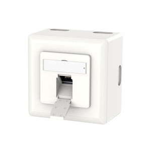 faceplate rj45 cat 6a