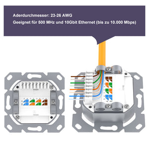 network faceplate