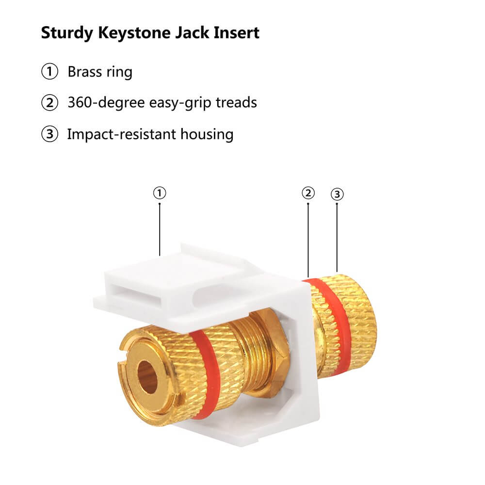 speaker keystone insert