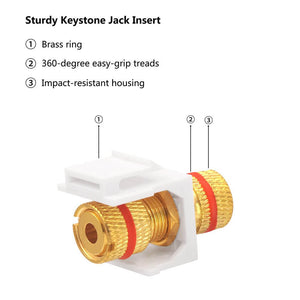 speaker keystone insert