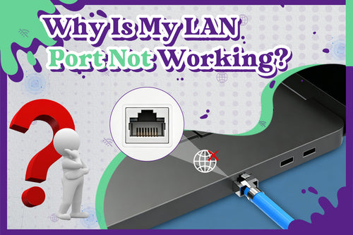 Why Is My LAN Port Not Working？