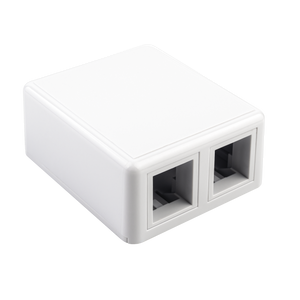 2-Port Ethernet Surface Mount Box