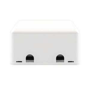 2-Port Ethernet Surface Mount Box
