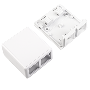 2-Port Ethernet Surface Mount Box