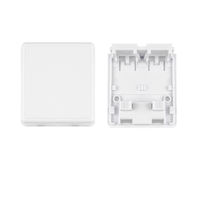 2-Port Ethernet Surface Mount Box