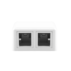 2-Port Ethernet Surface Mount Box