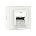 German Ethernet Faceplate With Cat6a Insert VCELINK
