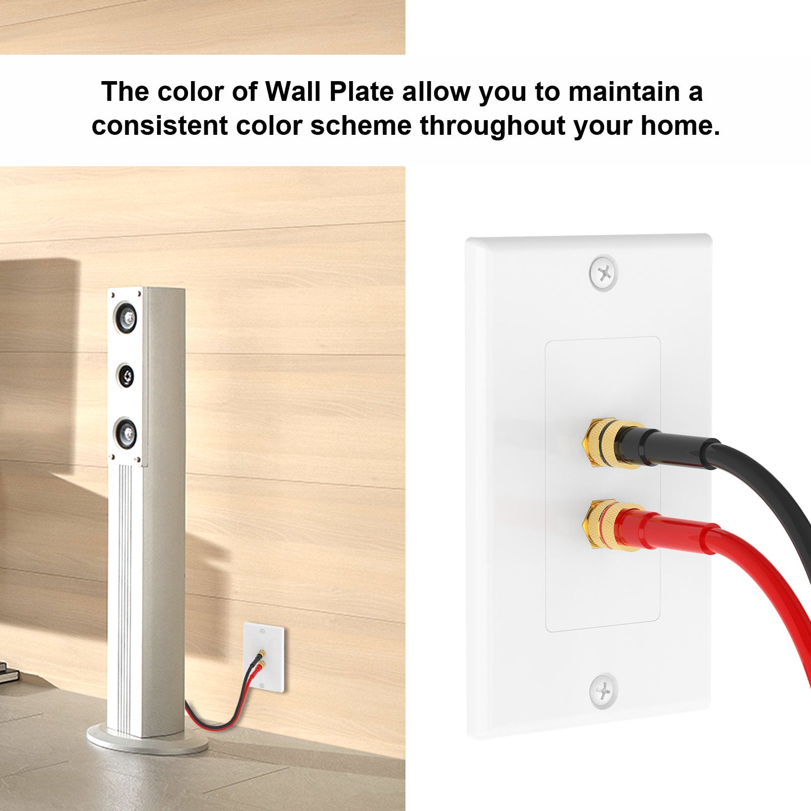 Speaker Wall Plates VCELINK