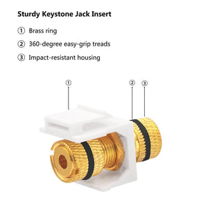 speaker keystone insert